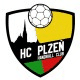 Logo hostujícího týmu